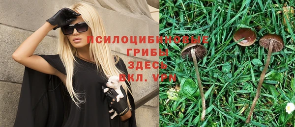 mix Надым