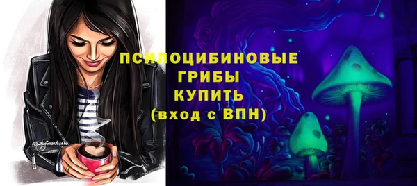 spice Михайлов